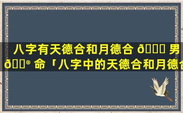 八字有天德合和月德合 🐘 男 💮 命「八字中的天德合和月德合是什么意思」